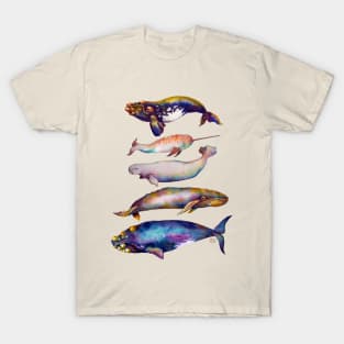 Watercolor Whales - Fifth Pyramid T-Shirt